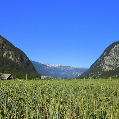 Appartement V Objemu Gora à Bohinj Extérieur photo
