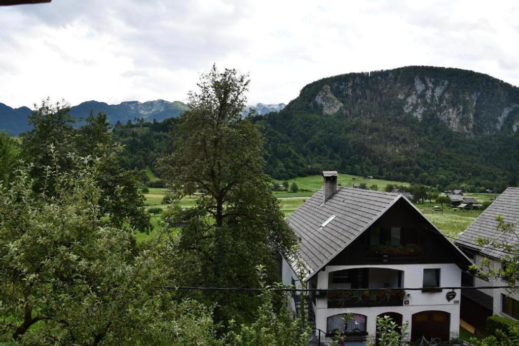 Appartement V Objemu Gora à Bohinj Extérieur photo