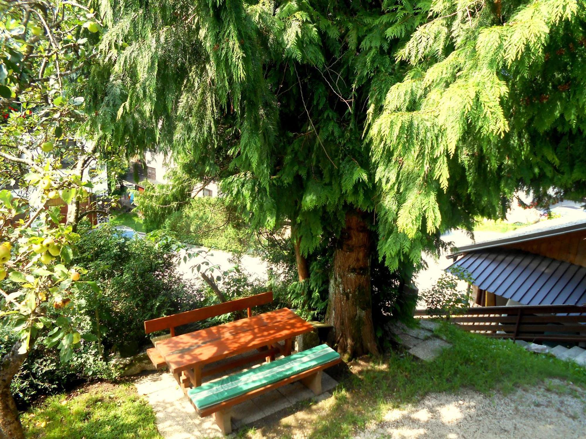 Appartement V Objemu Gora à Bohinj Extérieur photo