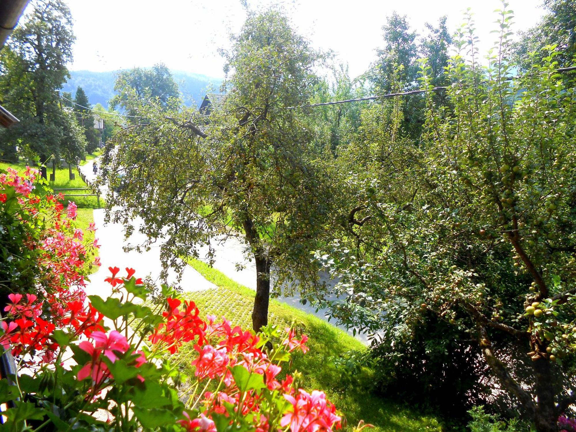 Appartement V Objemu Gora à Bohinj Extérieur photo